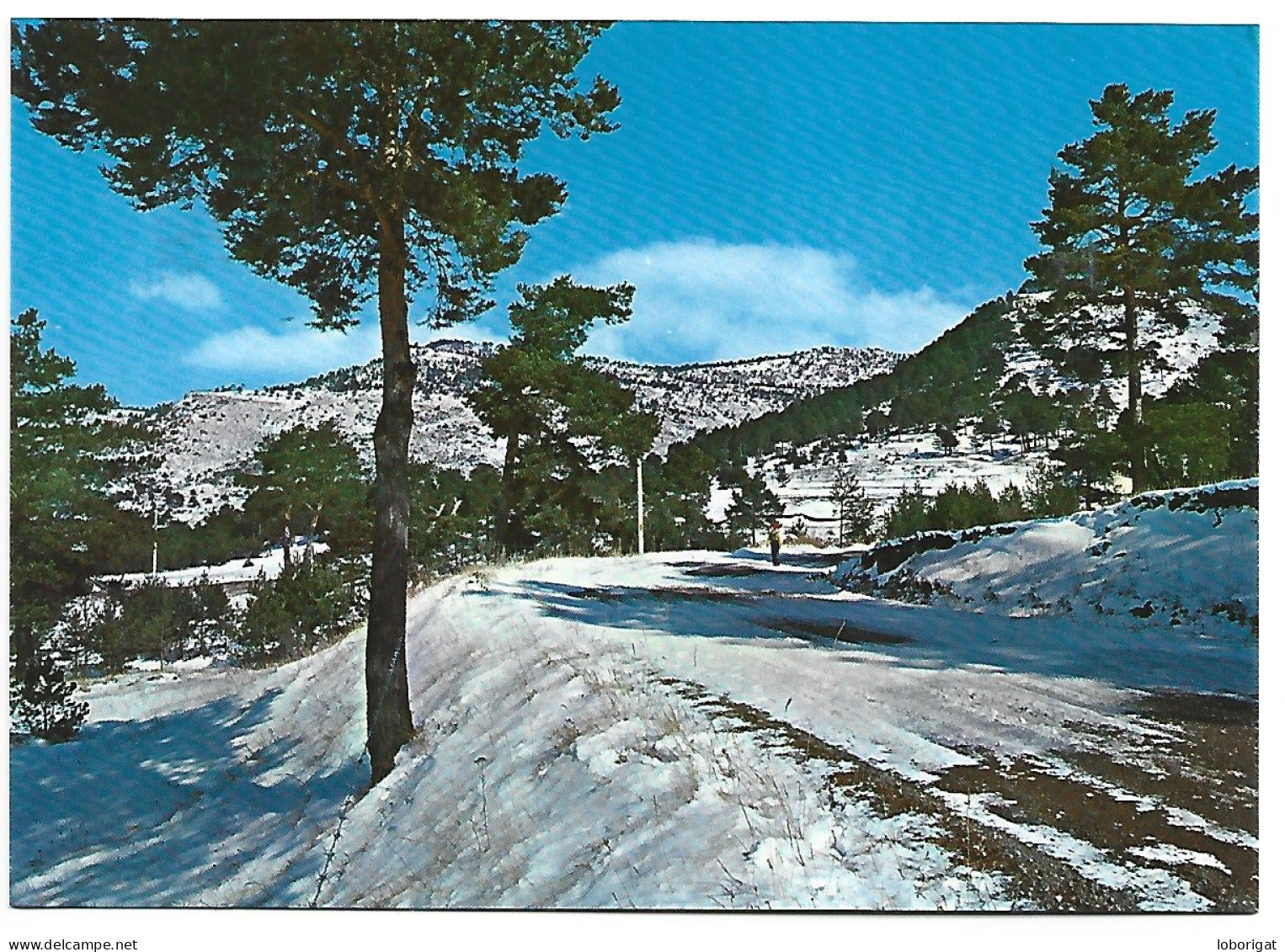 PAISAJE / LANDESCAPE.- VIRGEN DE LA VEGA.- TERUEL.- (ESPAÑA ). - Teruel