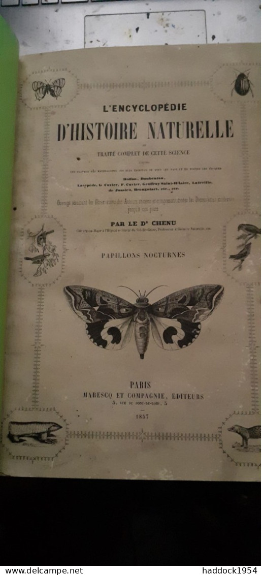 Papillons Et Papillons Nocturnes Encyclopèdie D'histoire Naturelle DR CHENU H.LUCAS 1857 - Encyclopedieën