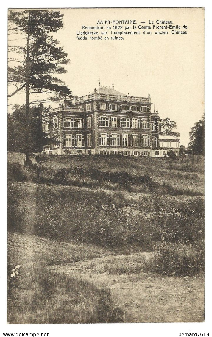 Belgique  -  Saint  Fontaine    Tailhe  -   Par Havelange -    Le Chateau -  Comte  Al  De Hiedekenke - Havelange