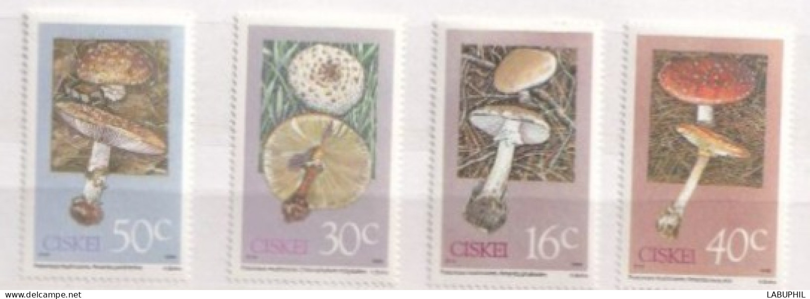 CISKEI  MNH 1988champignos - Ciskei