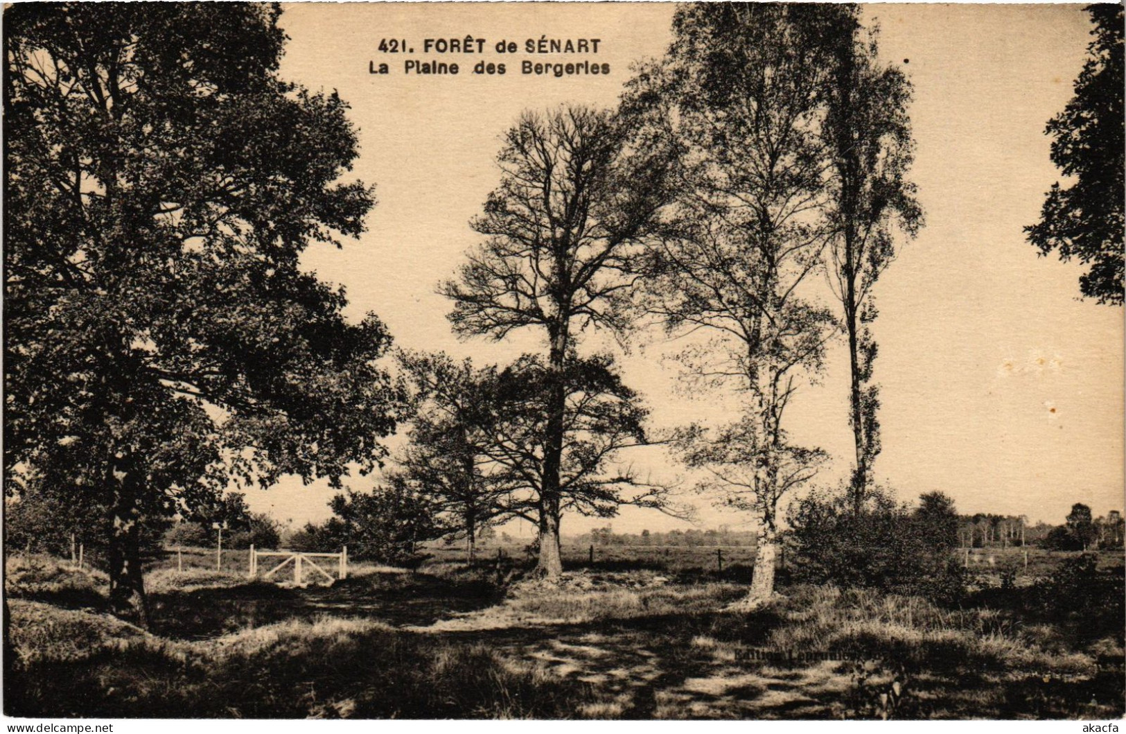 CPA Foret De Senart La Plaine Des Bergeries FRANCE (1371266) - Sénart