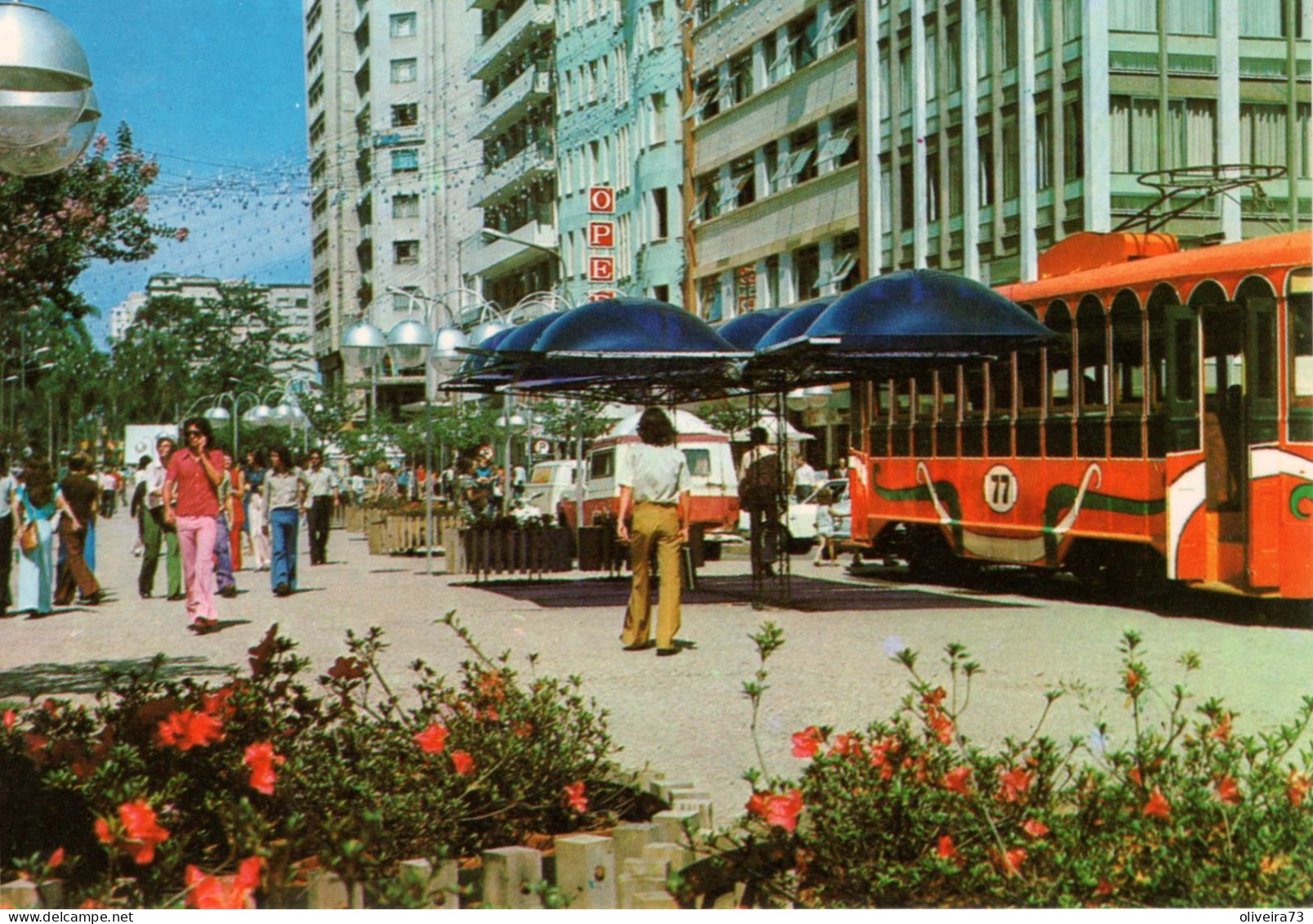 BRASIL - CURITIBA - Avenida Luiz Xavier - Curitiba