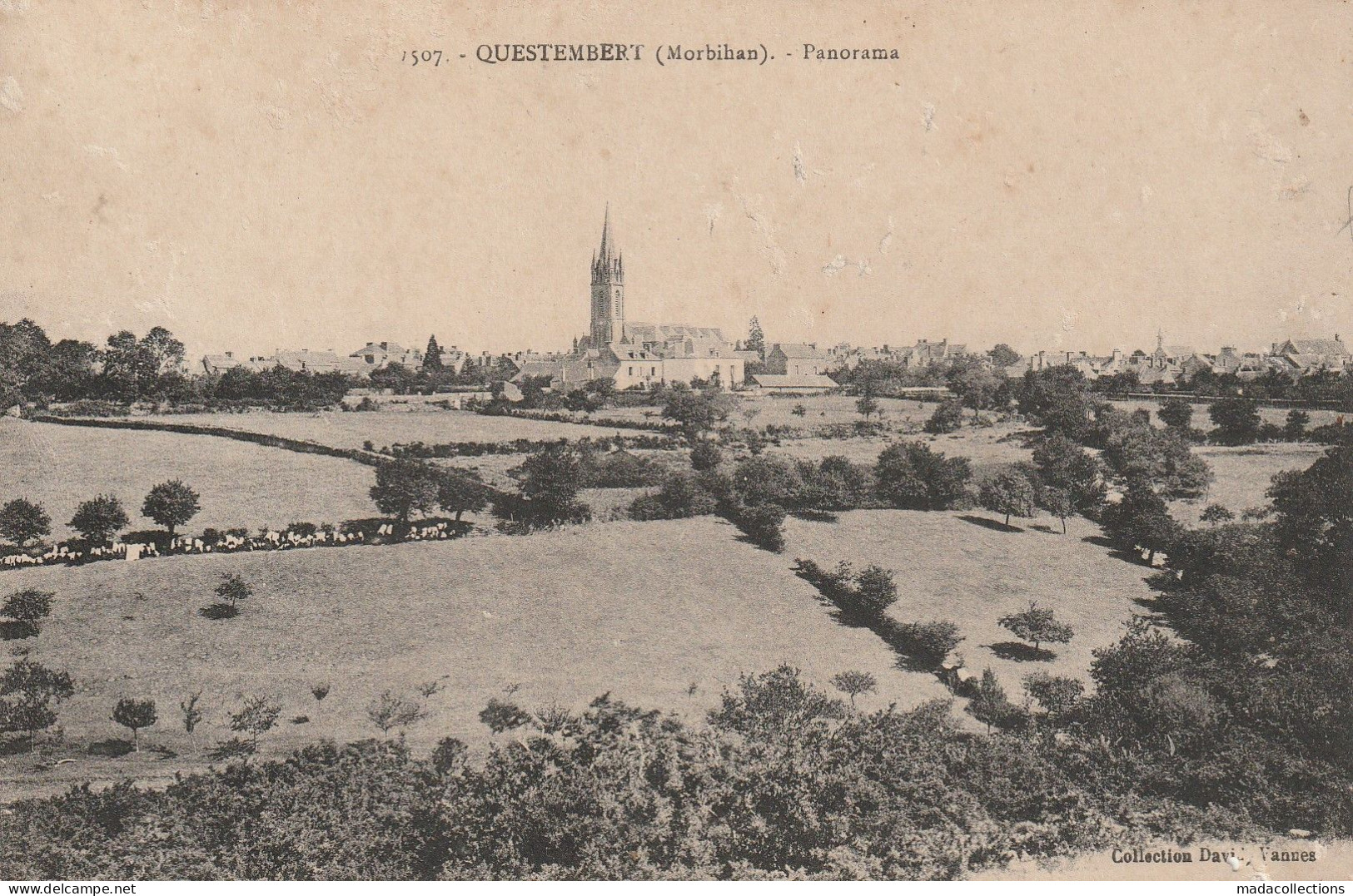 Questembert  (56 - Morbihan) Panorama - Questembert