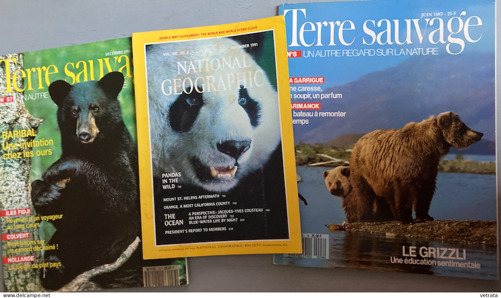 Pandas/Grizzli/Baribal : 3 Revues (National Geographic, Ed. US & Terre Sauvage) - Animals