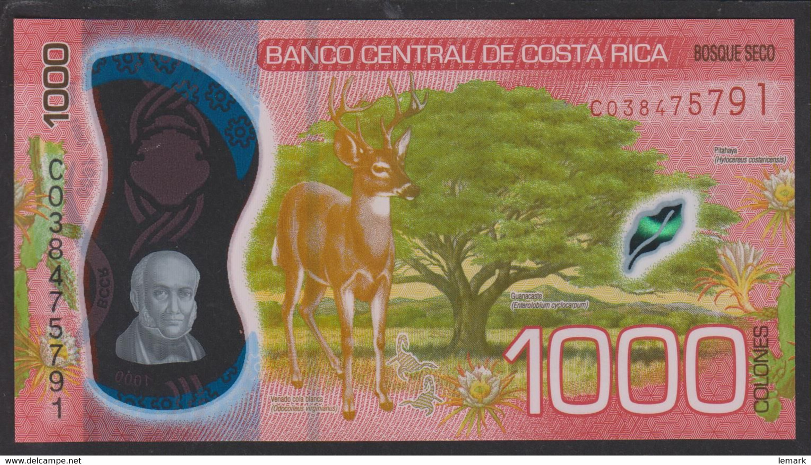 Costa Rica 1000 Colones 2019 P280 UNC - Costa Rica