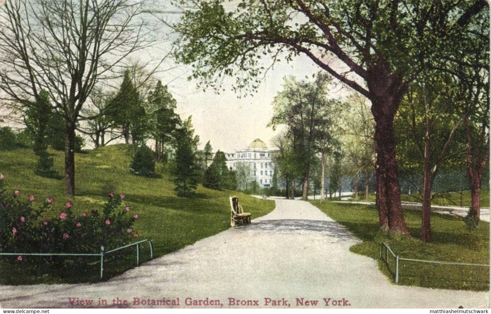 View In The Botanical Garden, Bronx Park - Bronx