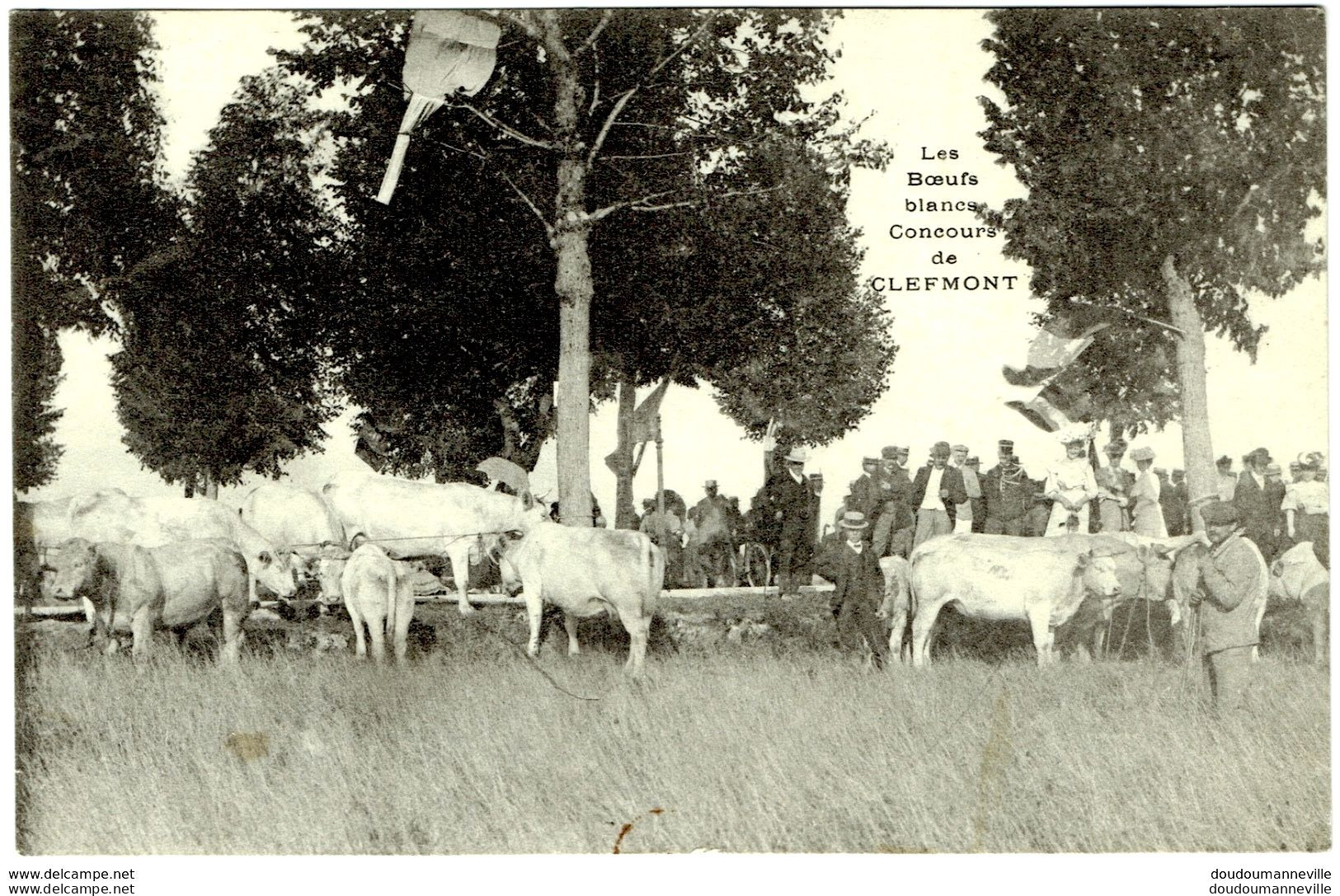 CPA - 52 - CLEFMONT - Concours Agricole - Les Boeufs Blancs - Elevage - Métiers - Clefmont