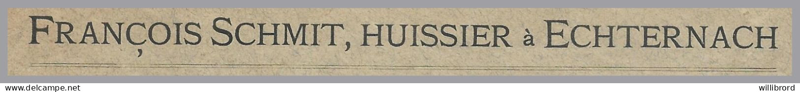 LUXEMBOURG - 1885 FRANÇOIS SCHMIT - ECHTERNACH HUISSIER - 10c Allegory To DIEKIRCH Frederic Francois Avocat - 1882 Allégorie