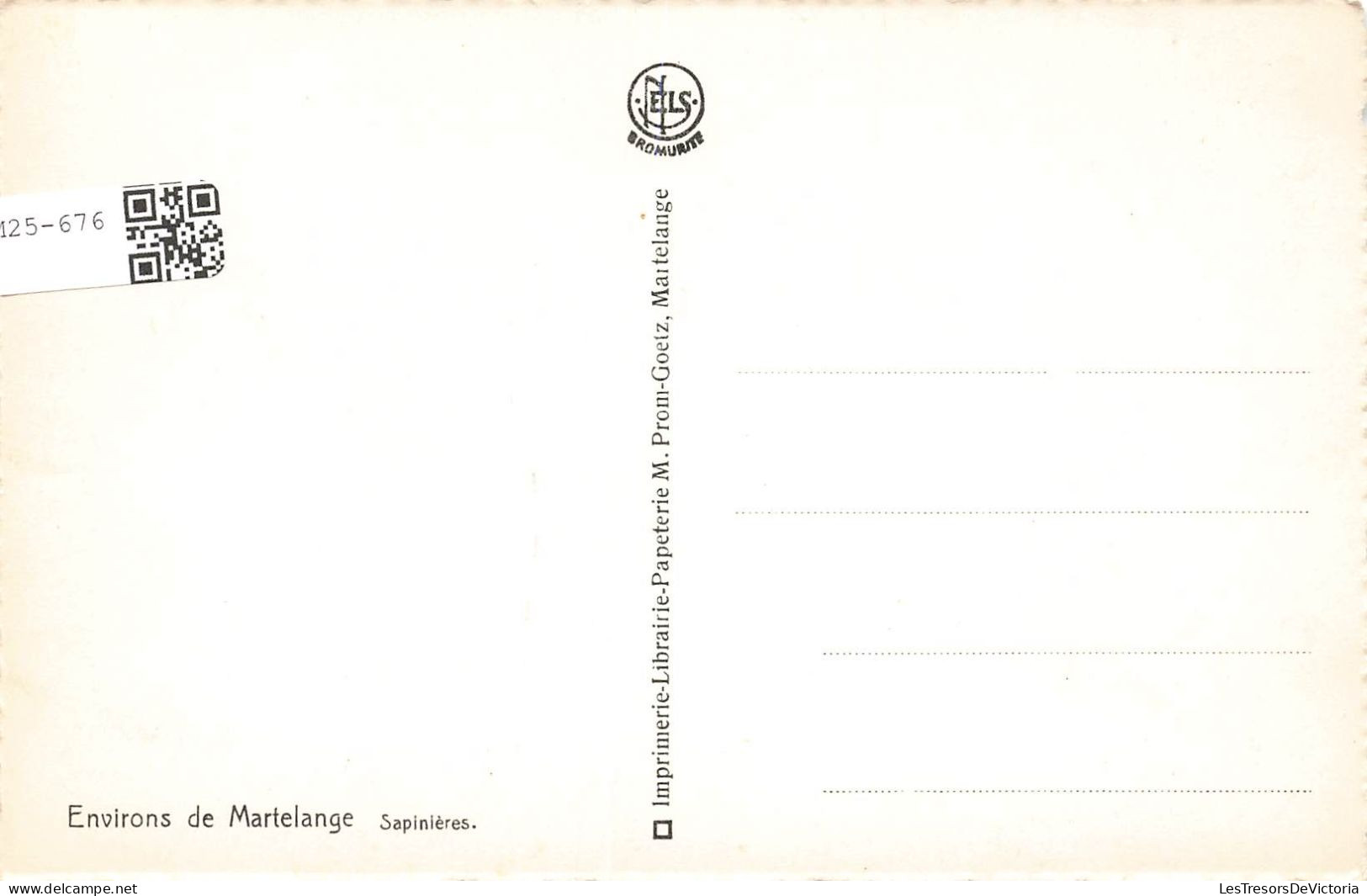 BELGIQUE - Environs De Martelange - Sapinières  - Carte Postale - Martelange