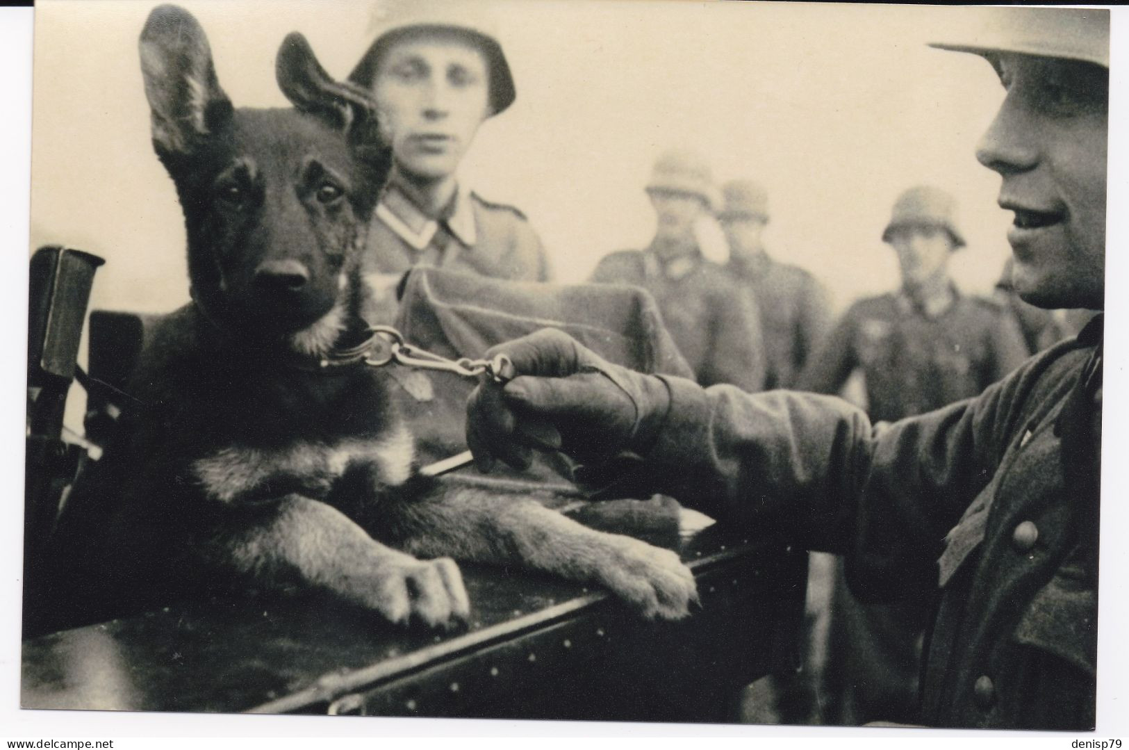 Photo 10 X 15  Reproduction Photo D'une Collection Coté Allemagne - Guerre, Militaire