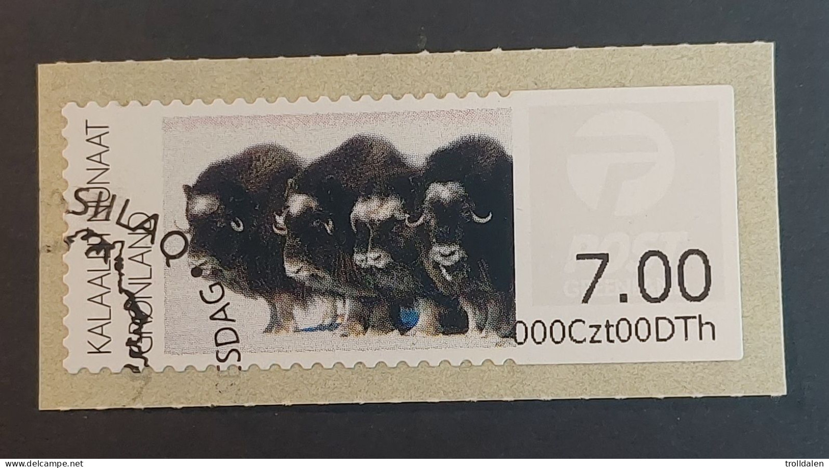 Musk Oxen - Timbres De Distributeurs