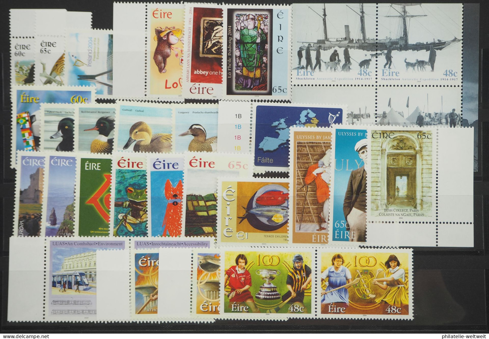 2004 Irland; In Den HN Kompletter Jg Mit MH, Postfrisch/MNH, ME 218,- - Sonstige & Ohne Zuordnung