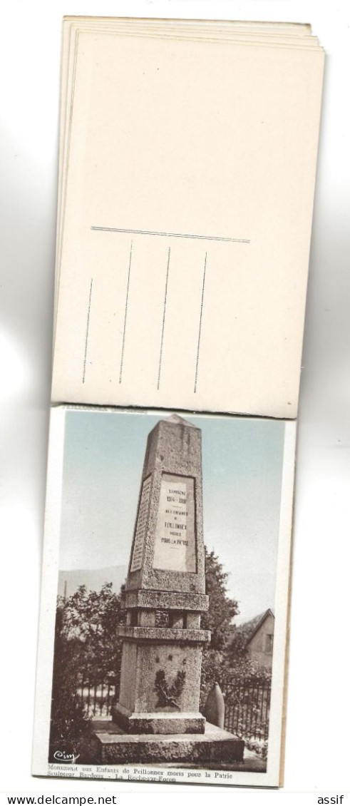 Peillonnex ( 74 ) 15 cartes  ( 9 d'un carnet CIM incomplet et 6 tirées d'un autre carnet CIM )