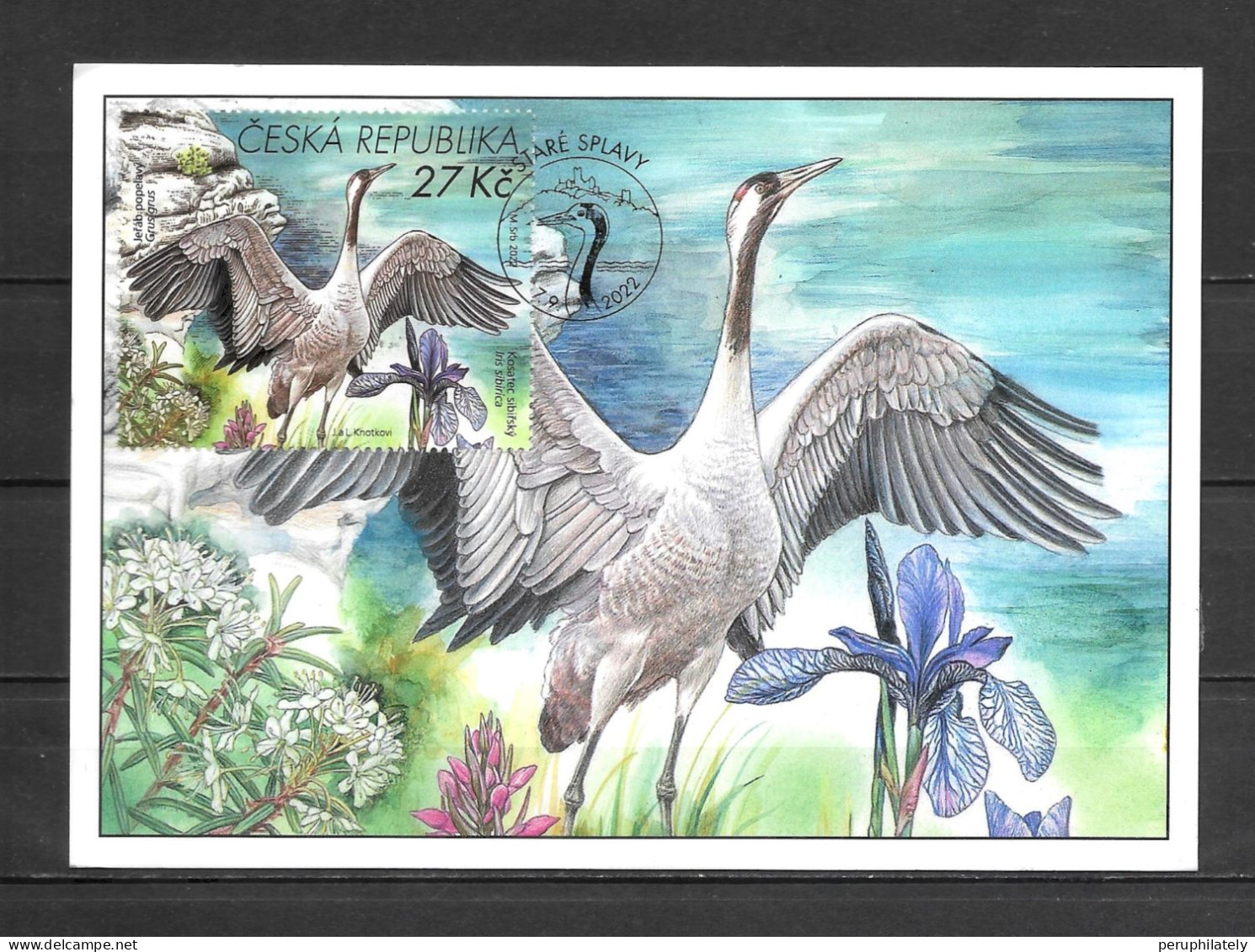 Czech Republic Bird Maxicard , Circulated - Gebraucht