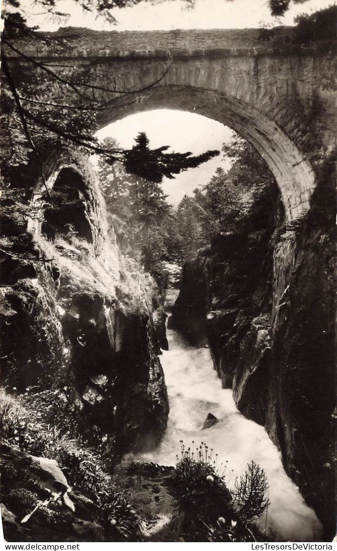 FRANCE - Environs Des Cauterets - Le Pont D'Espagne - Carte Postale - Cauterets