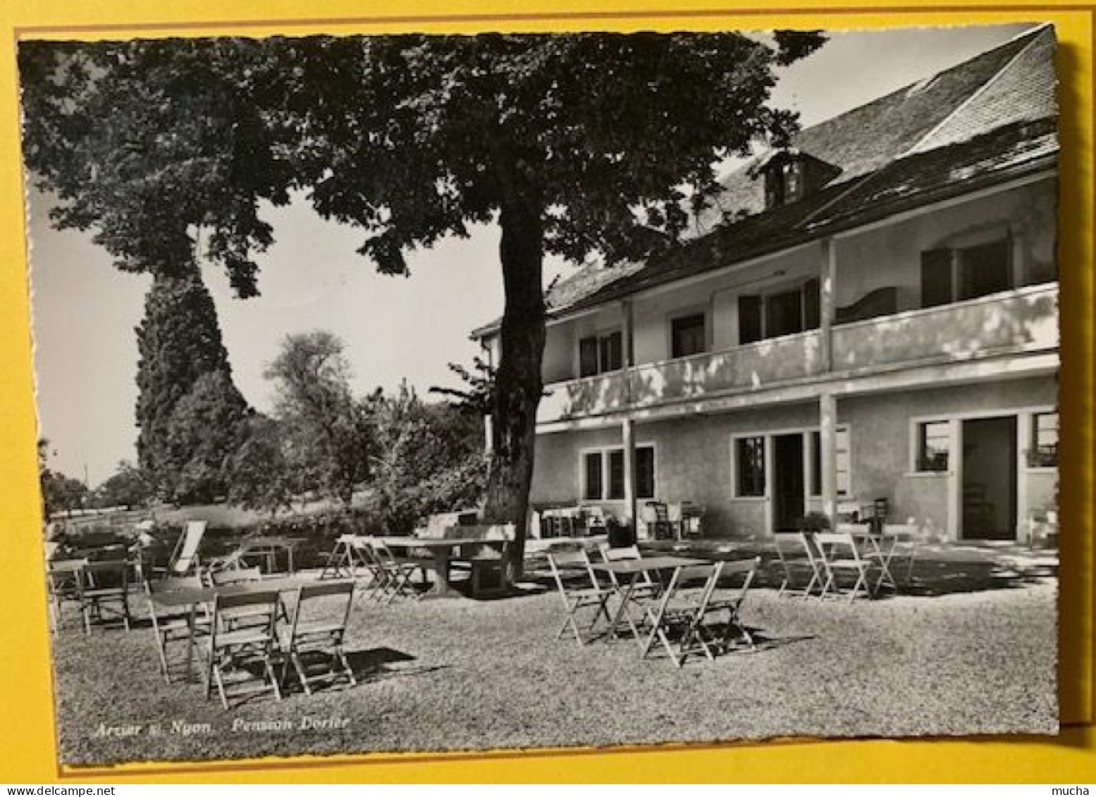 19697 - Arzier Sur Nyon Pemsion Dorier  Restaurant Tea Room - Arzier-Le Muids