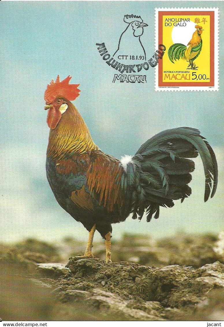 Carte Maximum - Oiseaux - Macao Macau - Galo Coq Rooster Gallus Gallus Domesticus - Ano Lunar Year Année Lunaire - Maximum Cards