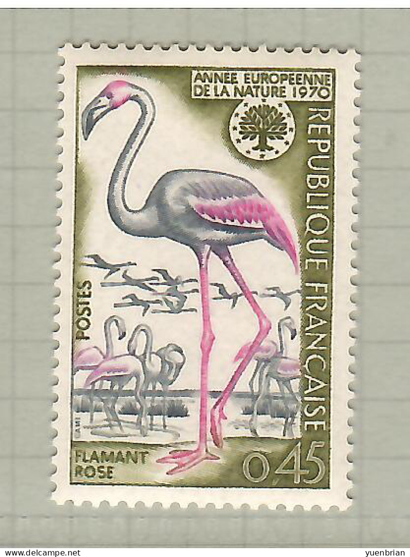 France 1970, Bird, Birds, 1v, MNH** - Fenicotteri