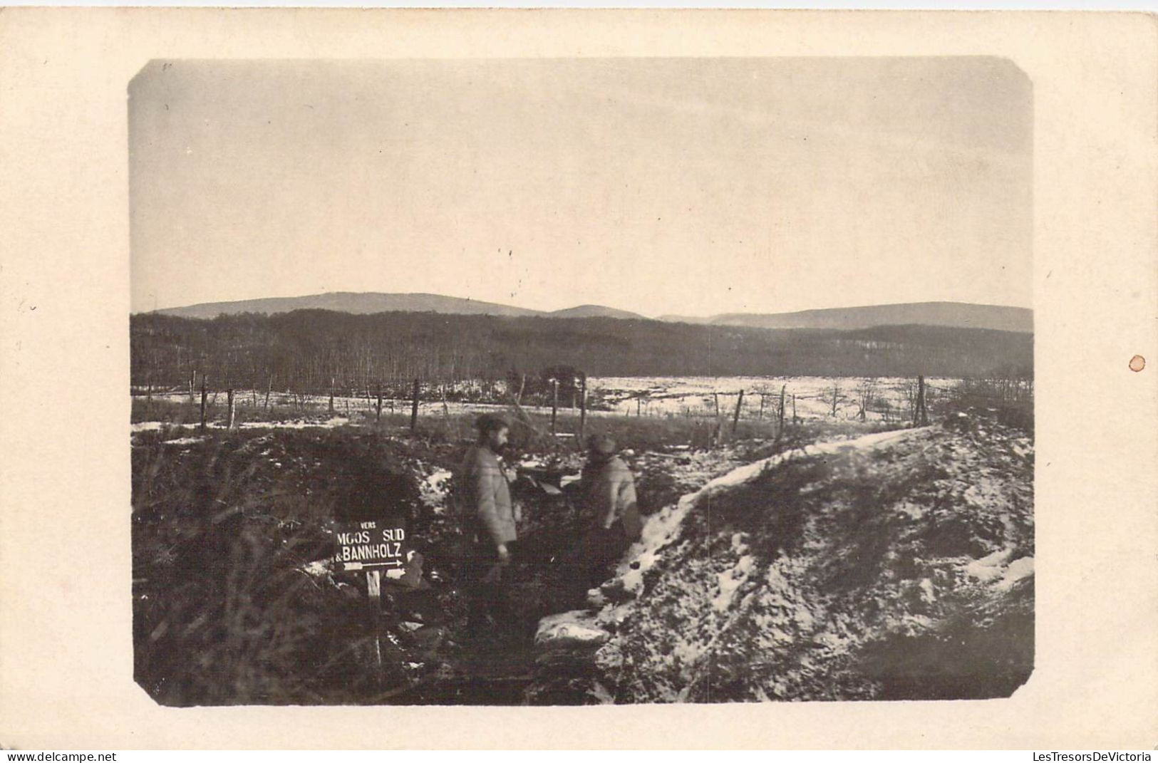 Militaria - Soldats Dans Les Tranchées ?  - Moos Sud Et Bannholz -  Carte Photo - Carte Postale Ancienne - Weltkrieg 1914-18