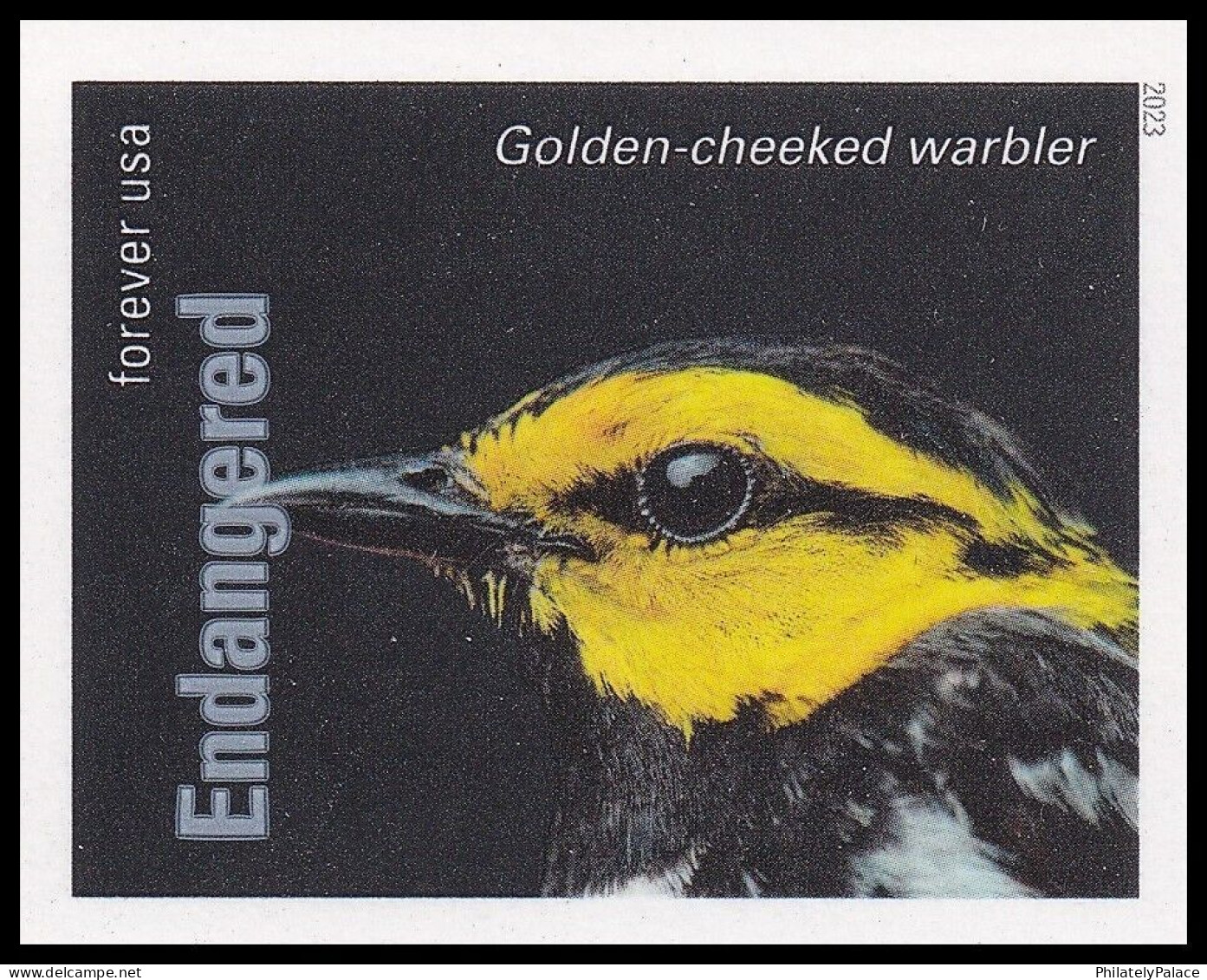 USA 2023 Endangered Species, Reptile,Snake,Fish,Parrot,Frog,Rat,Rabbit,Bird,Panther,Wolf,Quail,20v Imperf MNH RARE