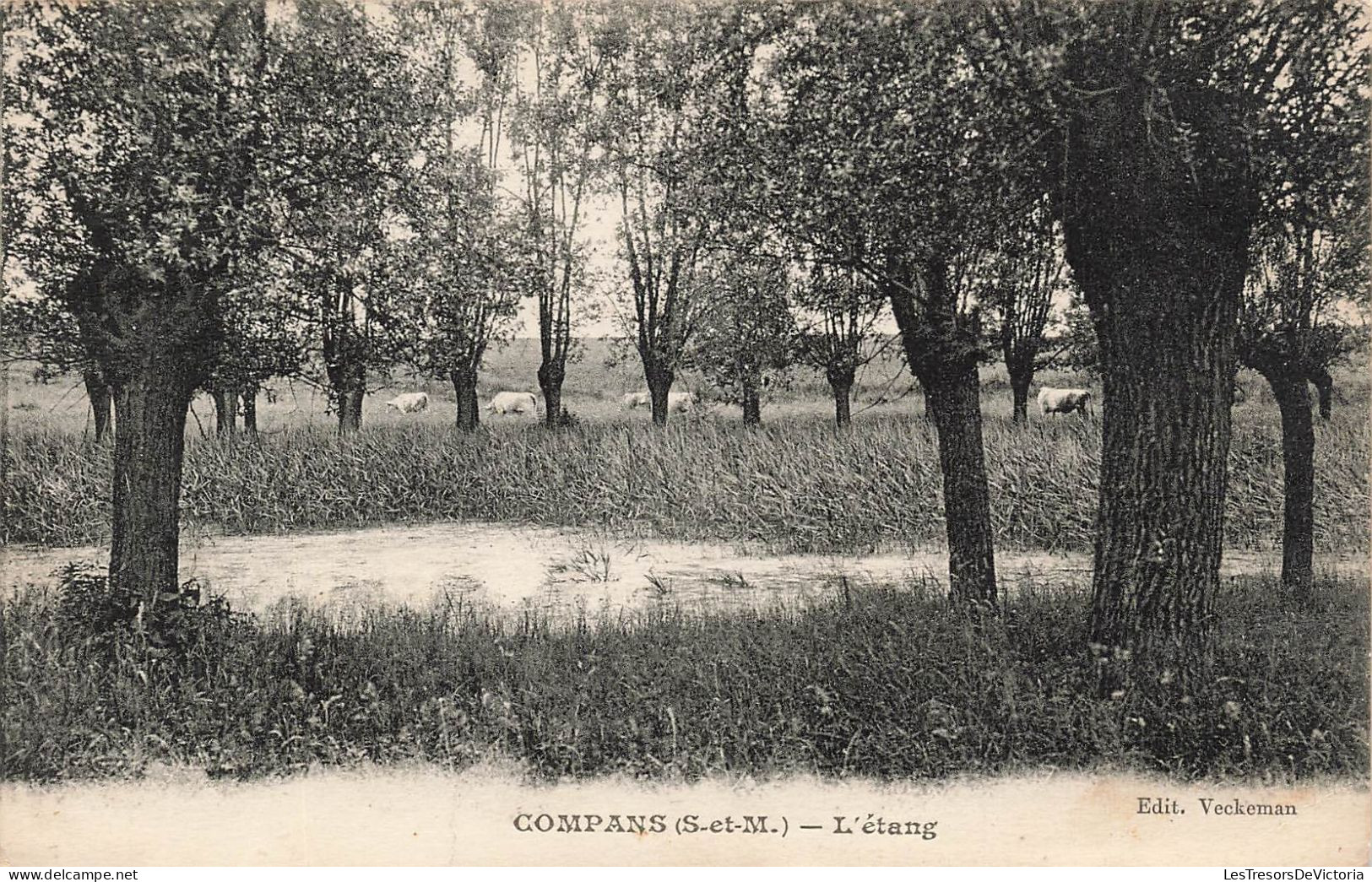 FRANCE - Compans - Vue Sur L'étang - Carte Postale Ancienne - Sonstige & Ohne Zuordnung