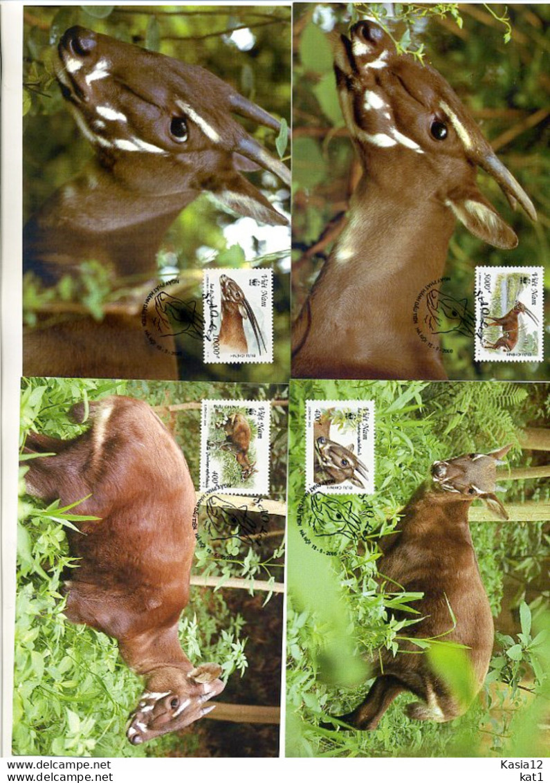 A41494)WWF-Maximumkarte Saeuegetiere: Vietnam 3063 - 3066 C - Cartes-maximum