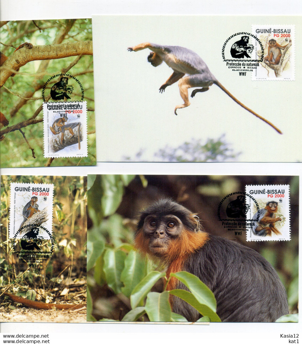 A45124)WWF-Maximumkarte Saeugetiere: Guinea-Bissau 1185 - 1188 - Cartes-maximum