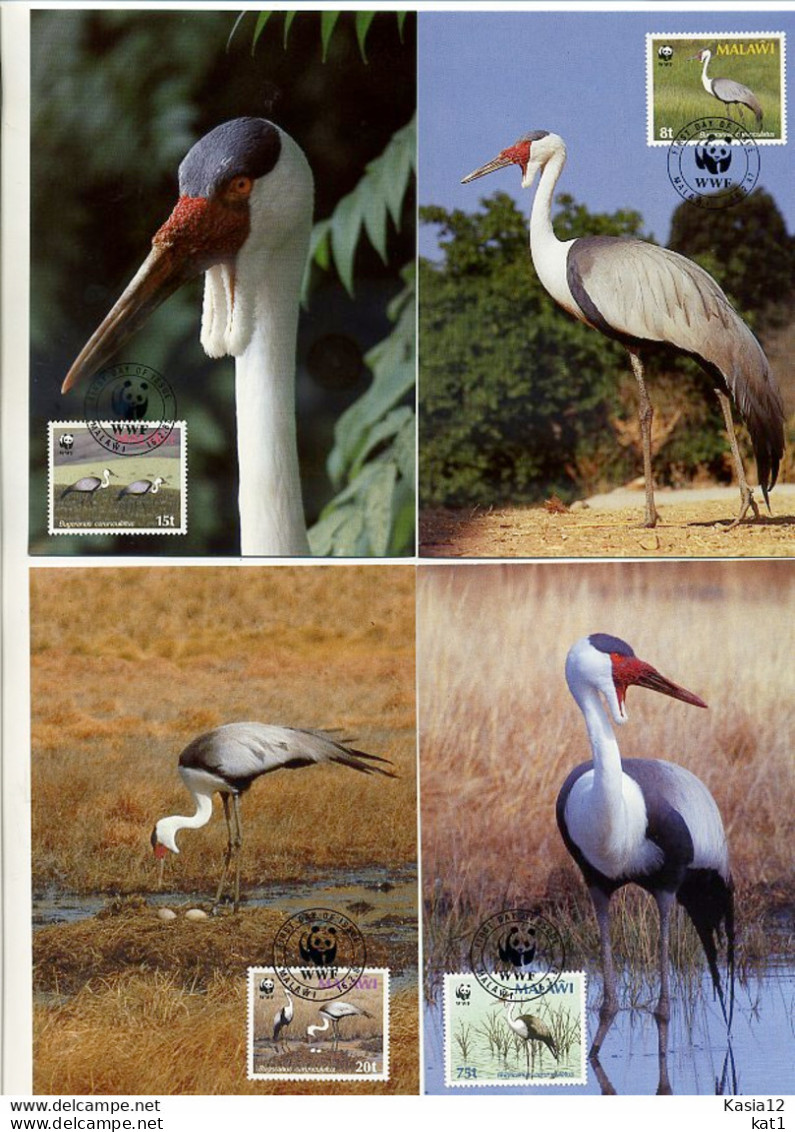 A41680)WWF-Maximumkarte Vogel: Malawi 477 - 480 - Maximum Cards