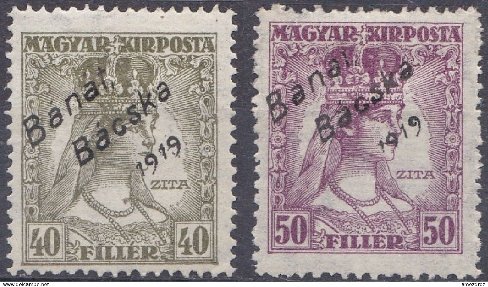 Hongrie Banat Bacska 1919 N° 23-24 * Reine Zita   (J23) - Banat-Bacska