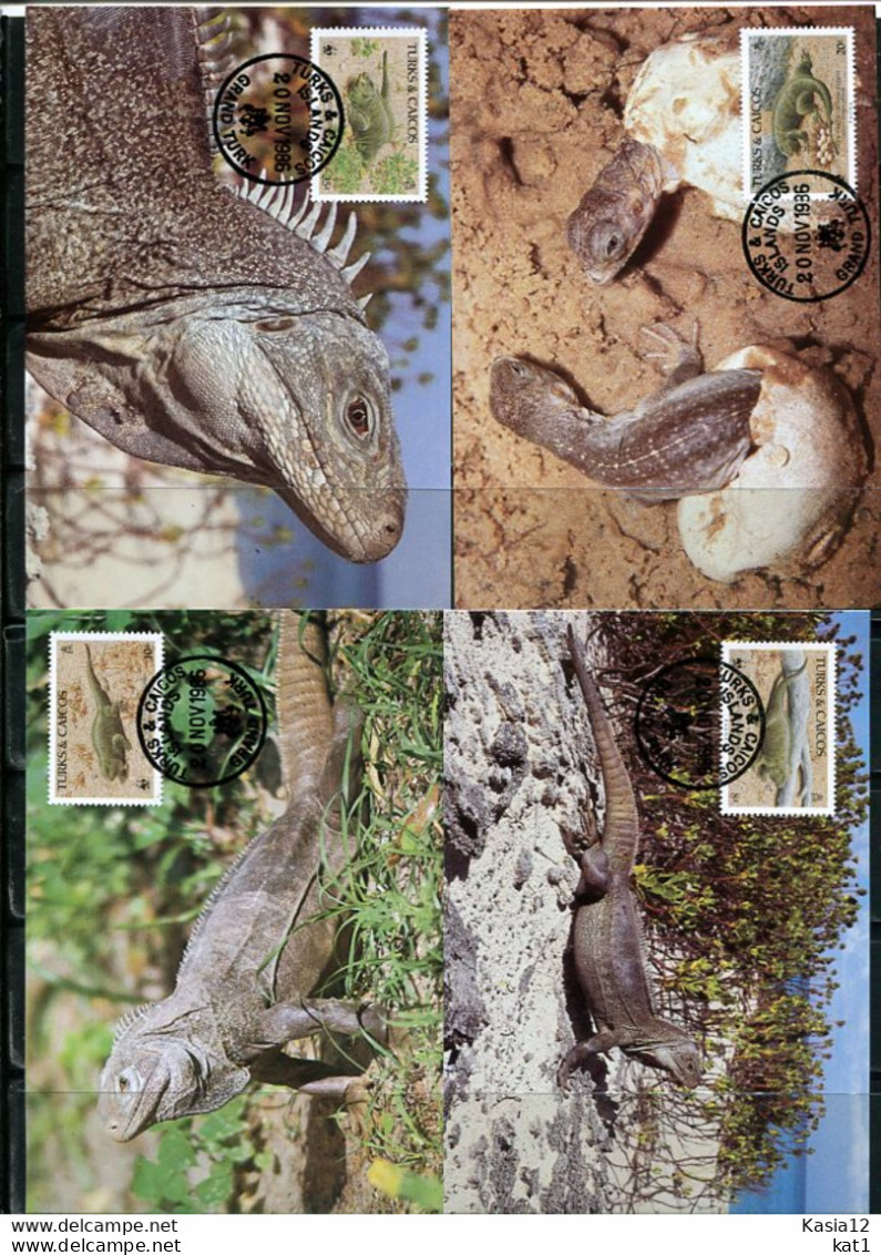 A51569)WWF-Maximumkarten Reptilien: Turks + Caicos-Inseln 777 - 780 - Maximum Cards