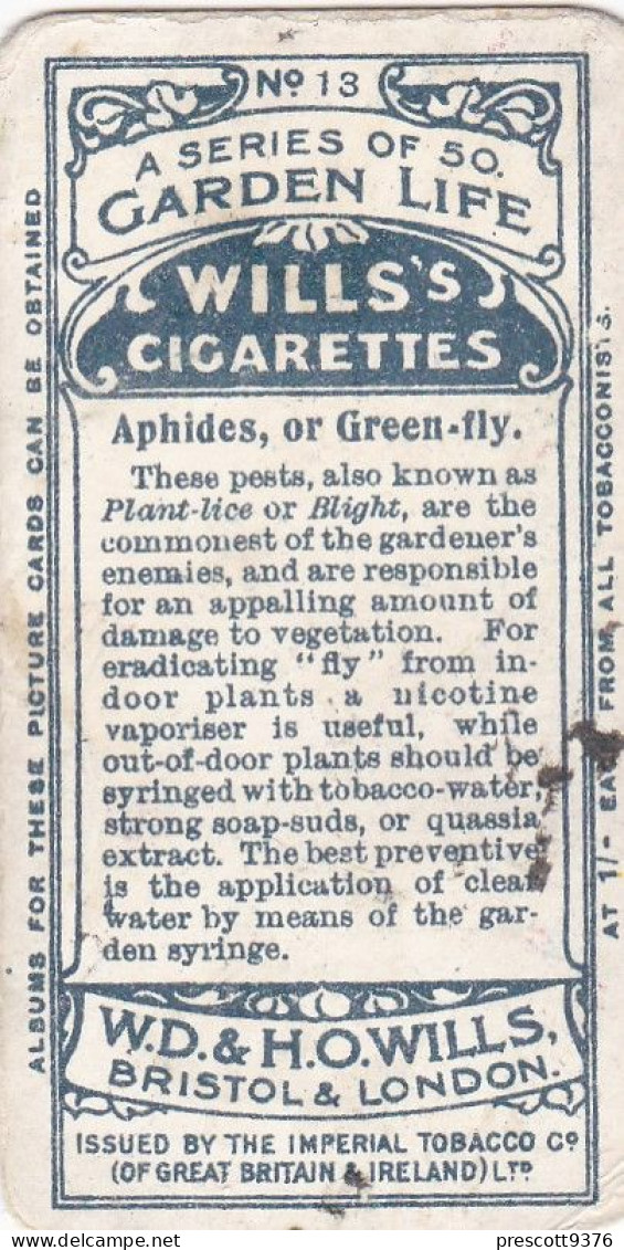 Garden Life 1914 - 13 Aphids Or Greenflies   - Wills Cigarette Card - - Wills