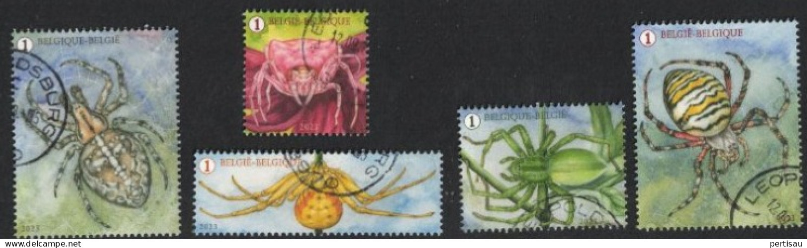 Spinnenpracht 2023 - Used Stamps