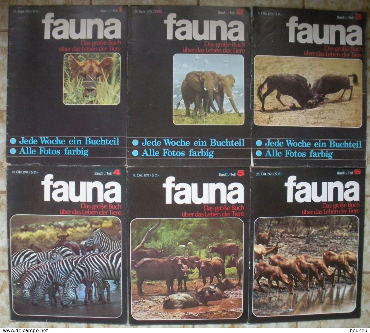 Zeitschrift FAUNA über Das Leben Der Tiere Hefte 1 Bis 45 Komplett - Hobby & Sammeln