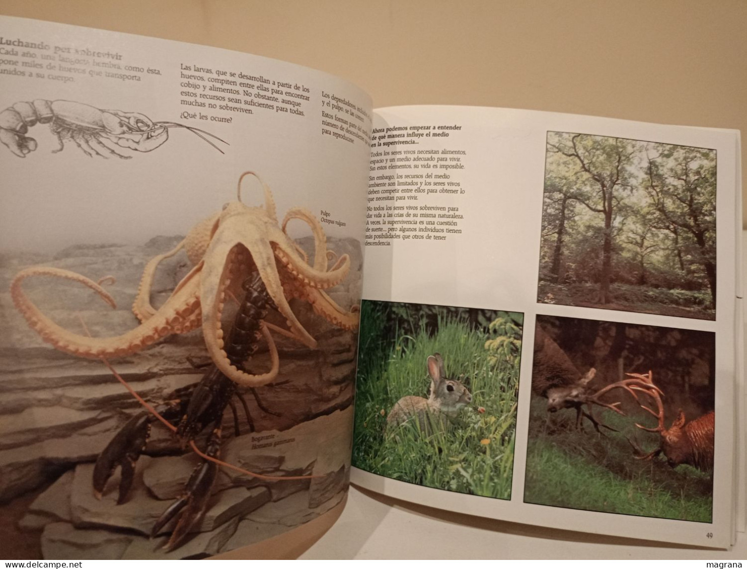 El origen de las especies. British Museum (Natural History). Akal ediciones. 1992. 120 páginas.