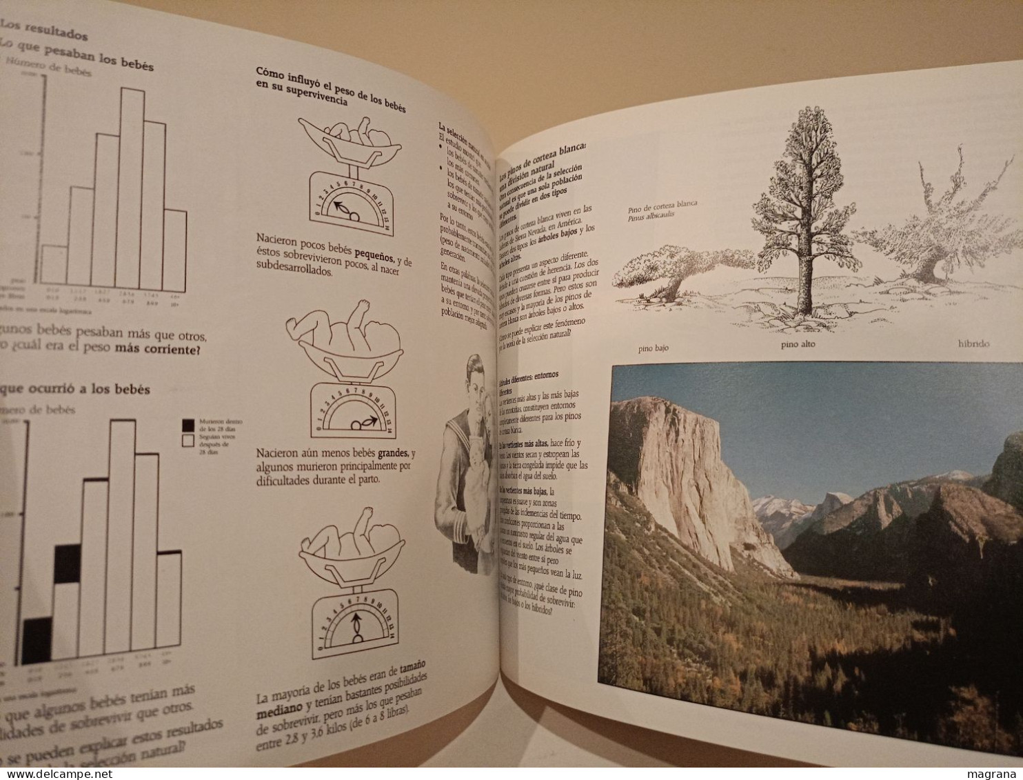 El origen de las especies. British Museum (Natural History). Akal ediciones. 1992. 120 páginas.