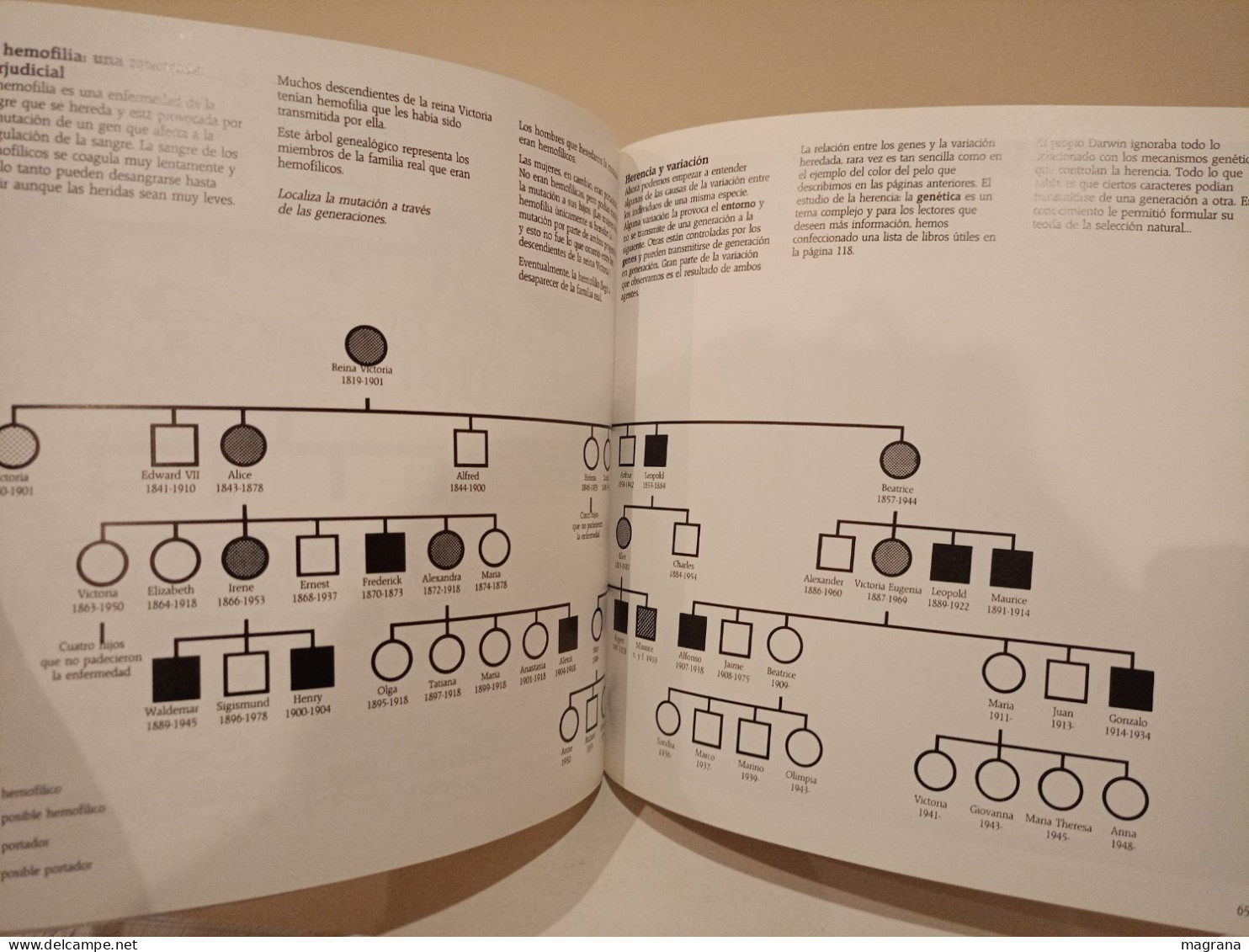 El origen de las especies. British Museum (Natural History). Akal ediciones. 1992. 120 páginas.