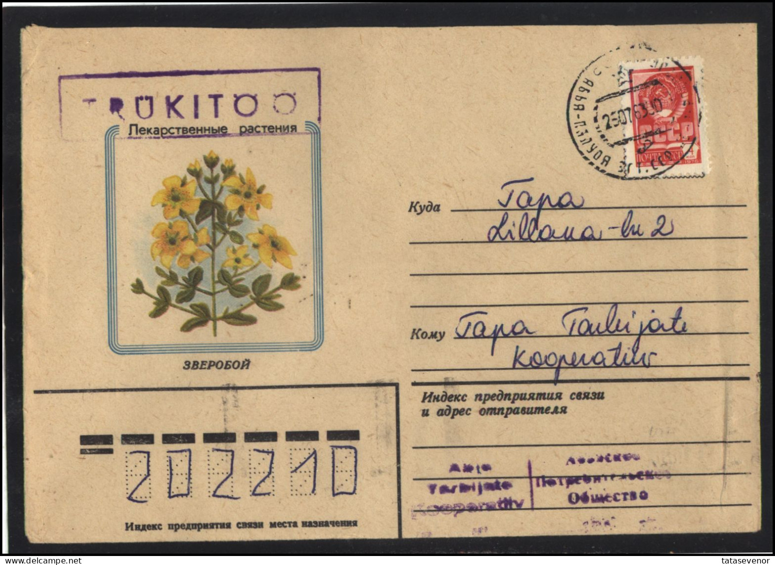 RUSSIA USSR Stationery USED ESTONIA AMBL 1274 ABJA-PALUOJA Flora Plants Herbs Saint-John's-wort - Non Classificati