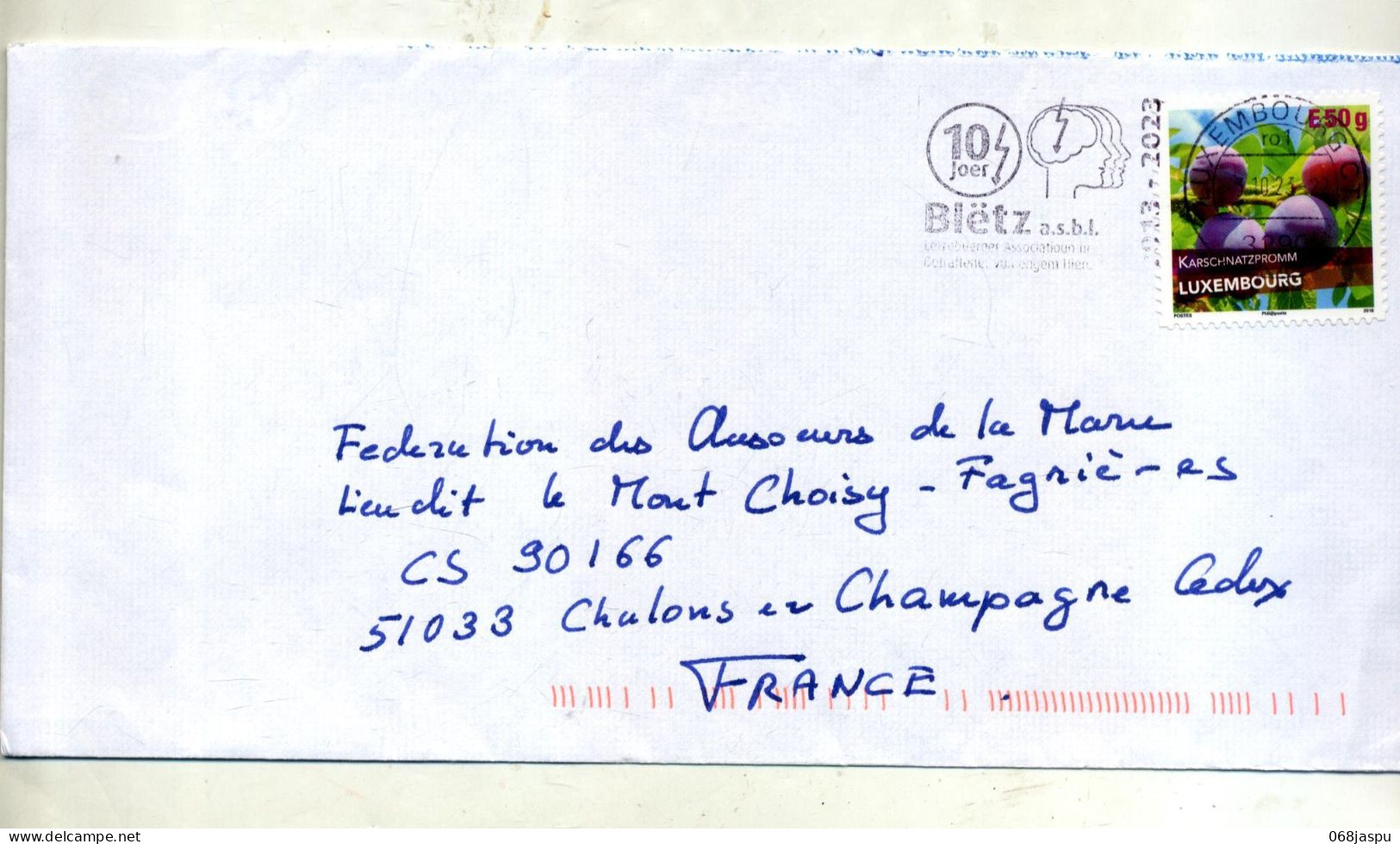 Lettre Flamme Luxembourg Bletz 10 Ans Cerveau Sur  Prune - Covers & Documents