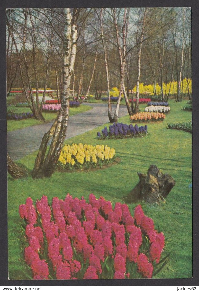 109208/ LISSE, Keukenhof  - Lisse