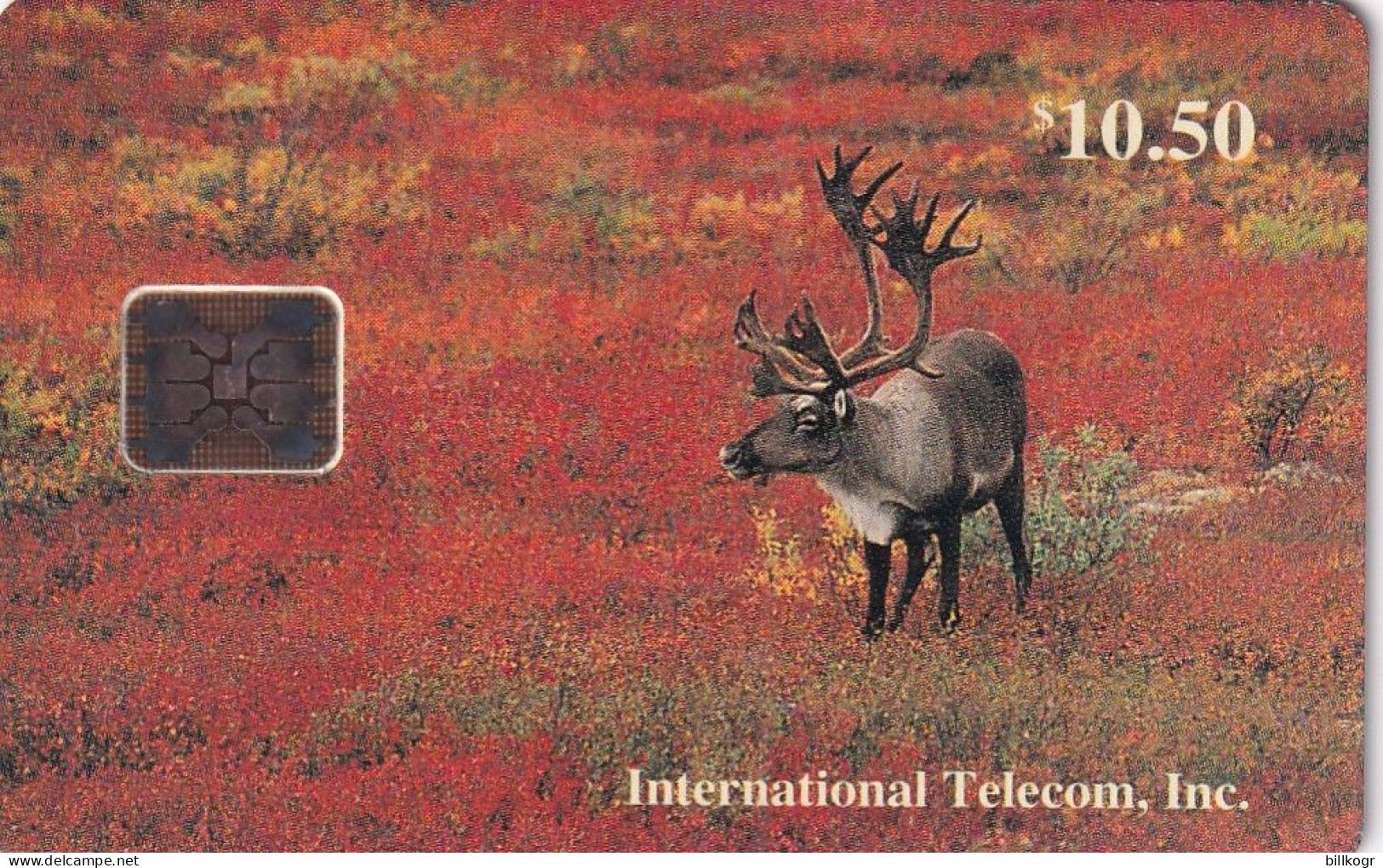 ALASKA - Bull Caribou In Fall, Tirage 4000, 11/93, Mint - Other - America