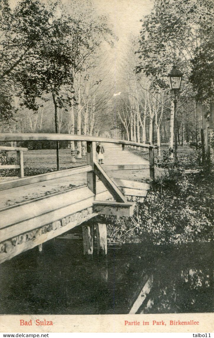 Bad Sulza - Partie Im Park Birkenzllée - Bad Sulza