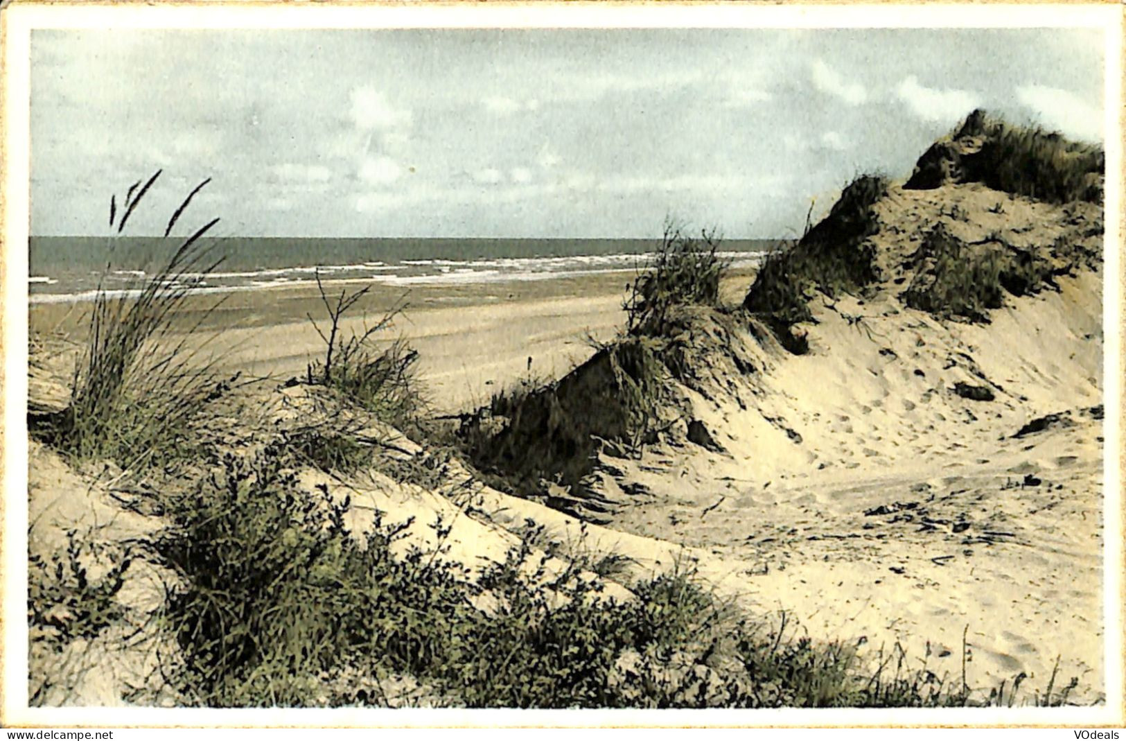 Belgique - Flandre Occidentale - Oostduinkerke-bains - La Dune, Ourlet De La Mer - Oostduinkerke