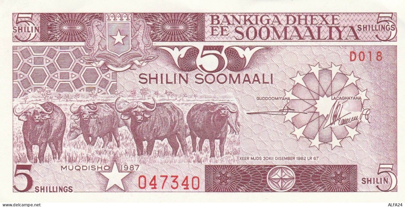 BANCONOTA SOMALIA 5 UNC (HP407 - Somalia