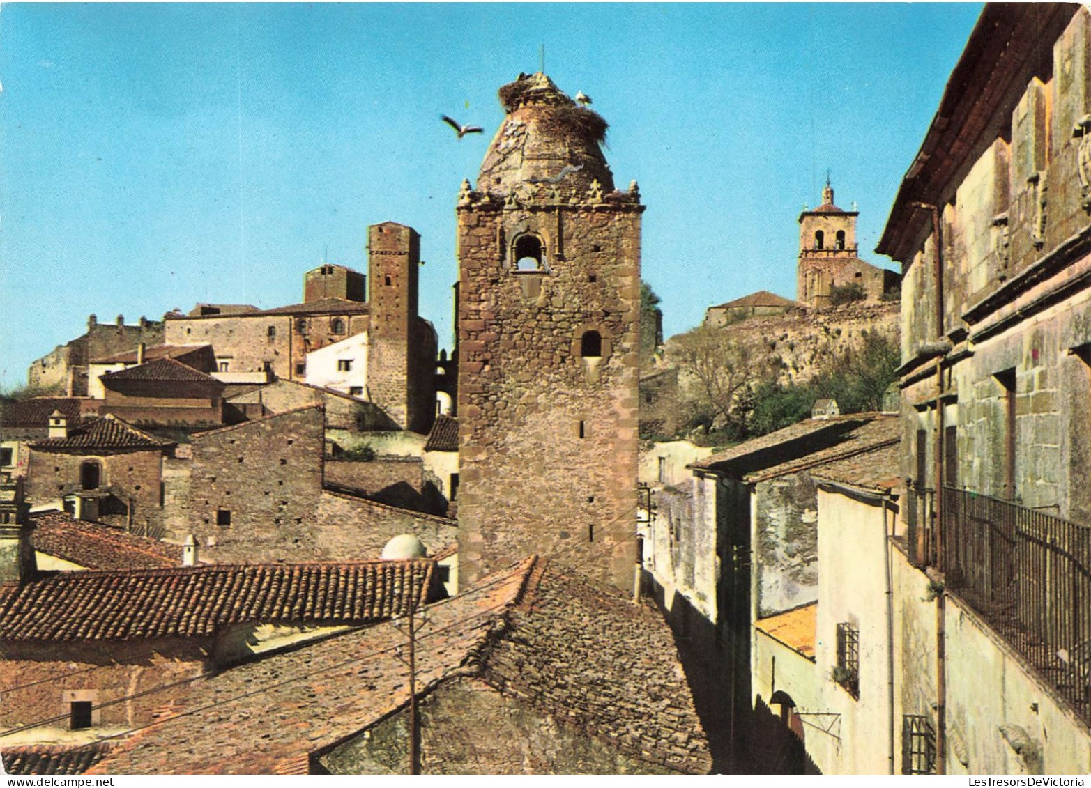 ESPAGNE - Caceres - Trujillo - Vue Sur La Tour Du Alfiler - Colorisé - Carte Postale - Cáceres