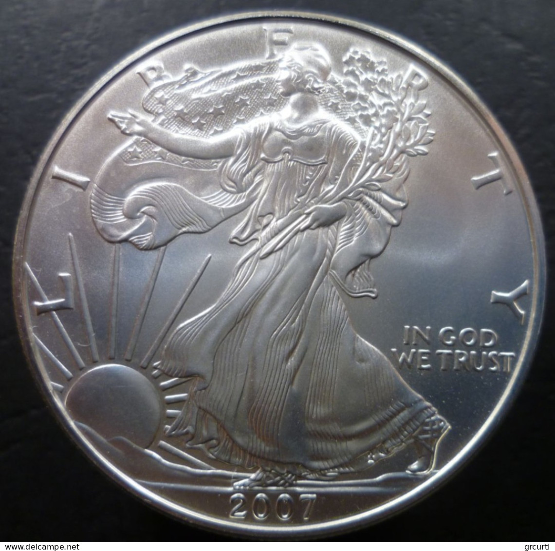 Stati Uniti D'America - 1 Dollaro 2007 - Aquila Americana - KM# 273 - Ohne Zuordnung