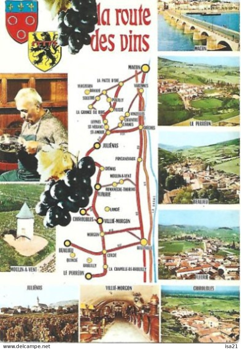 Carte Postale: La Route Des Vins: Macon, Juliénas, Villié-Morgon, Chiroubles, Etc. - Rhône-Alpes