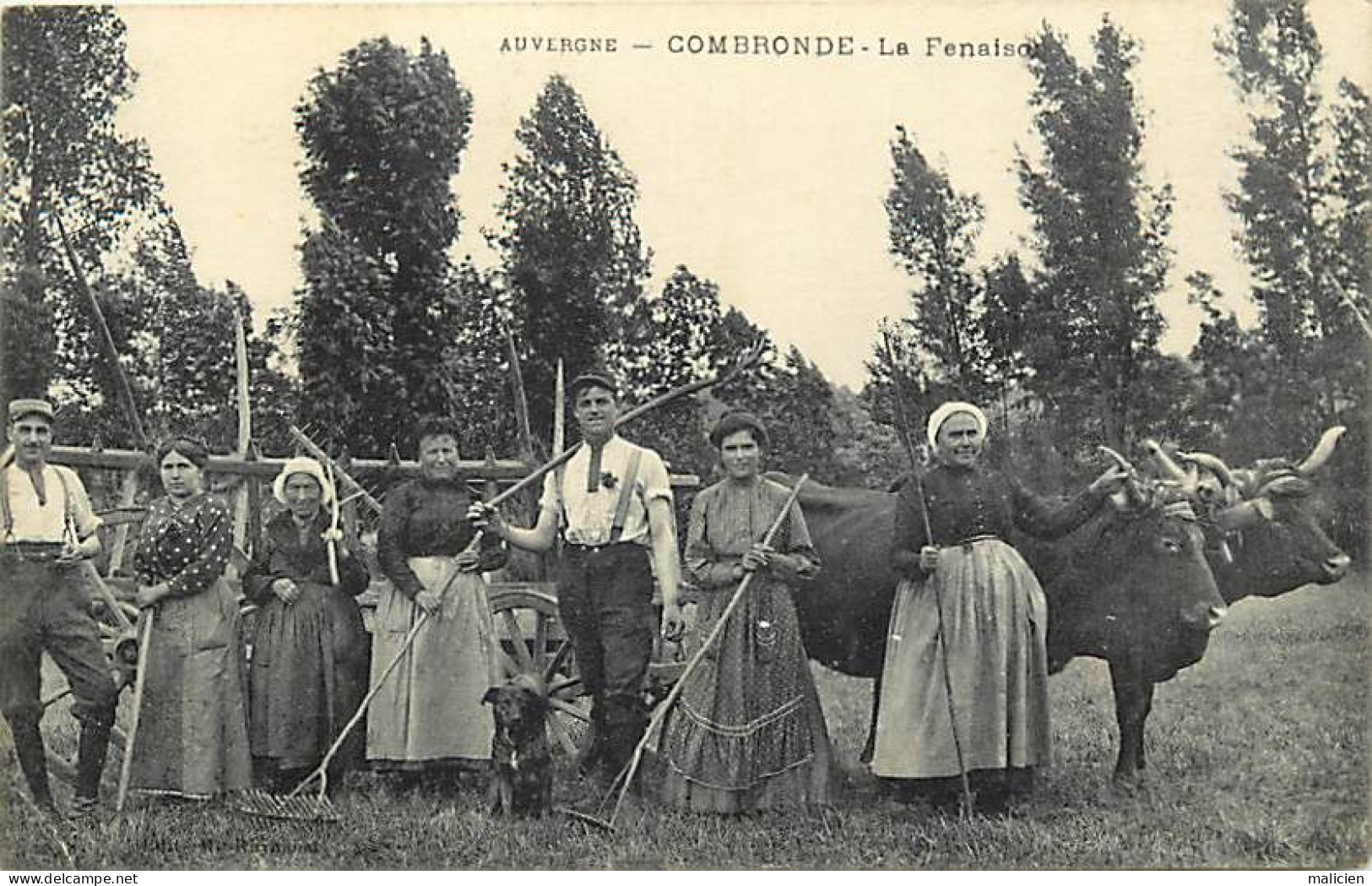 - Puy De Dôme -ref-B896- Combronde - La Fenaison - Types De Faneurs - Attelage Boeufs - Agriculture - - Combronde