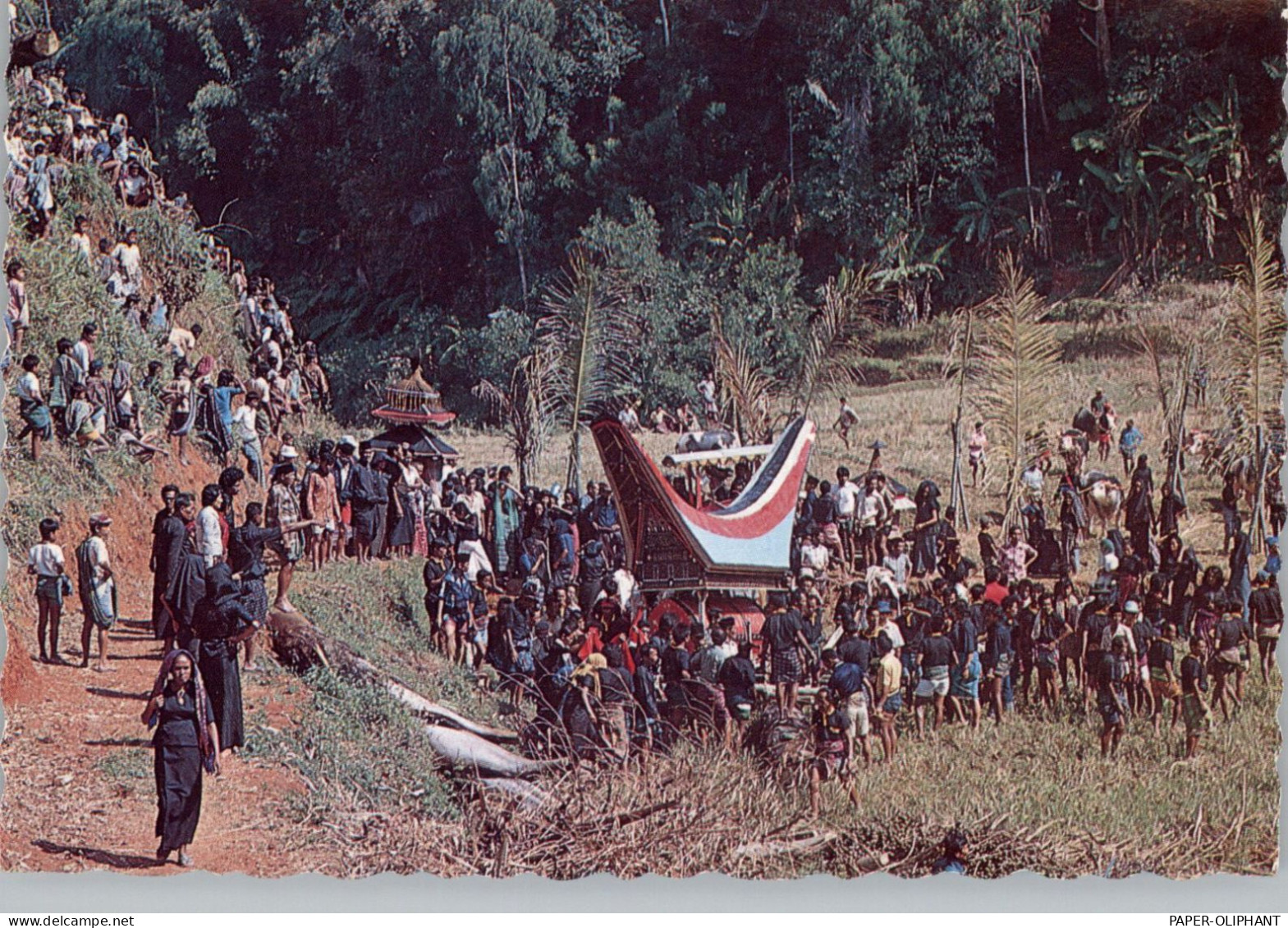 VÖLKERKUNDE / ETHNIC - INDONESIA / South Sulawesi, Parade - Asia