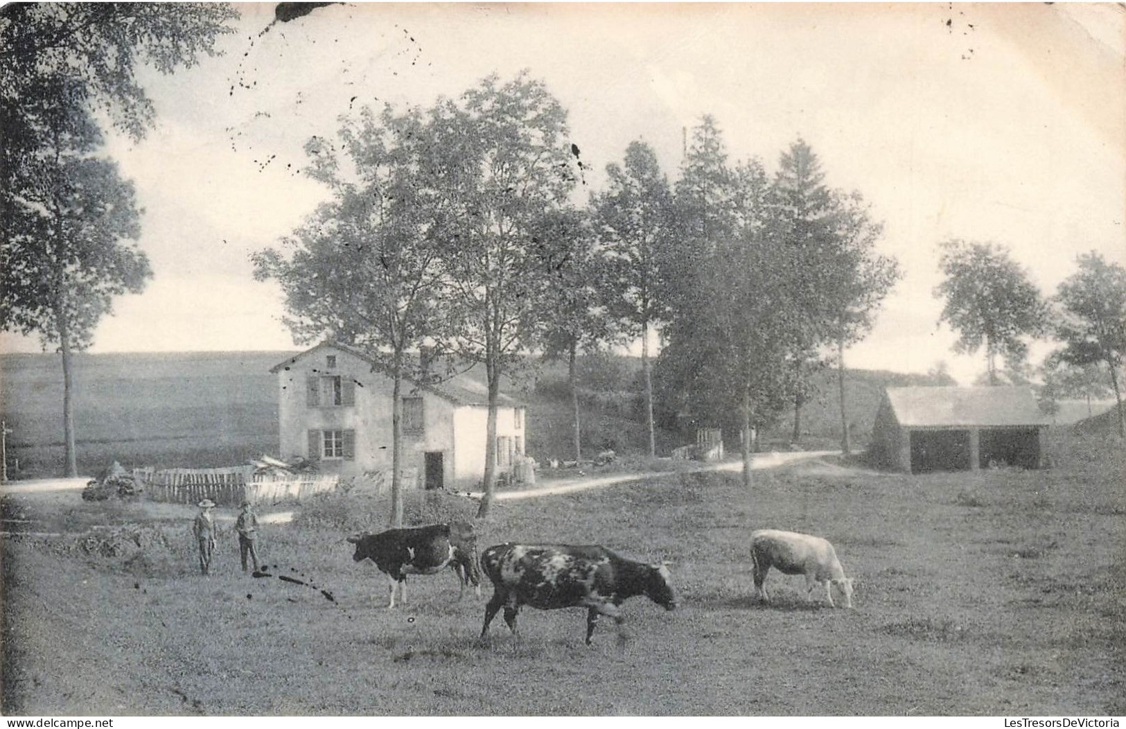 BELGIQUE - Paysage Des Andennes - Virton - Campagne - Vaches Près D'une Ferme - Nels - Carte Postale Ancienne - Virton