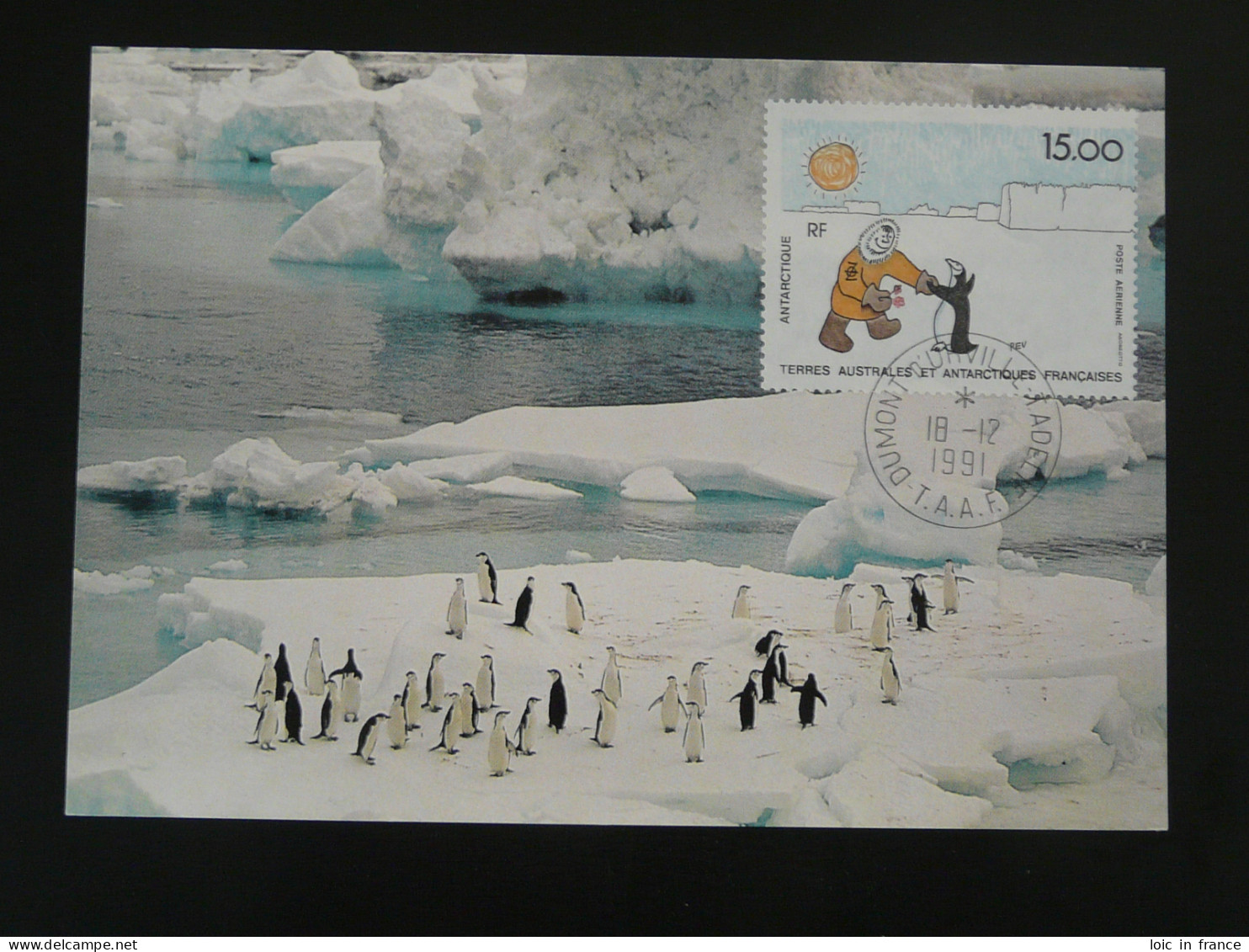Carte Maximum Card Pingouin Penguin TAAF 1991 - Pingouins & Manchots